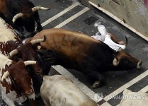 SPAIN SANFERMINES BULLRUN 2014
