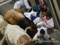 SPAIN SANFERMINES BULLRUN 2014