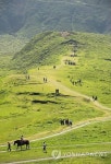 JAPAN UNESCO ASO GEO PARK
