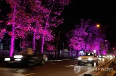 IRAN TEHRAN AUTUMN STREET