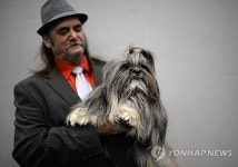 BRITAIN ANIMALS CRUFTS DOG SHOW