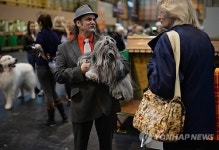 BRITAIN ANIMALS CRUFTS DOG SHOW