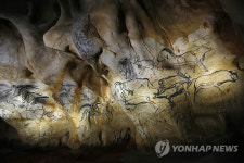 선사시대 동굴 보러오세요
