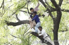 INDIA FARMER SUICIDE