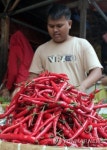 INDONESIA ECONOMY