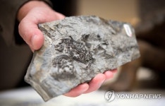 GERMANY PALEONTOLOGY TURTLE ANCESTOR