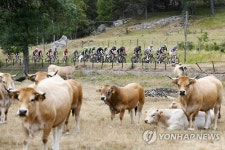 FRANCE CYCLING TOUR DE FRANCE 2015