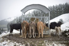 SWITZERLAND WEATHER SEASONS