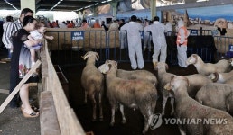 TURKEY EID AL ADHA