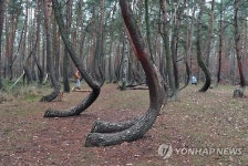 POLAND NATURE CURIOSITIES