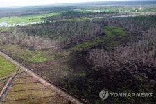INDONESIA ENVIRONMENT DEFORESTATION