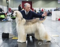 GERMANY DOG SHOW