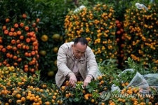 CHINA HONG KONG NEW YEAR MARKET