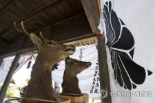 JAPAN BELIEF SHINTO JUDAISM