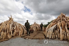KENYA IVORY BURNING