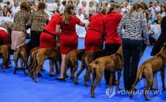 RUSSIA WORLD DOG SHOW