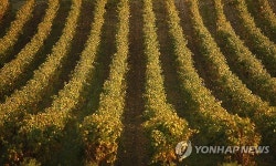 FRANCE WEATHER AUTUMN