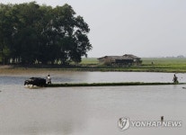 MYANMAR AGRICULTURE