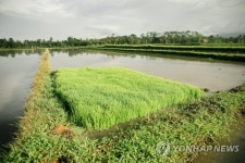 INDONESIA ECONOMY