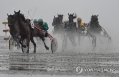 GERMANY HORSE RACING
