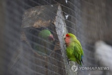 SOUTH AFRICA WORLD OF BIRDS