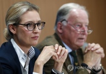 GERMANY POLITICS AFD