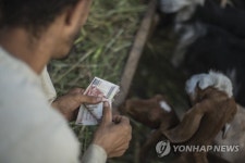 EGYPT EID AL ADHA ISLAM BELIEF