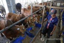 INDONESIA BERLIEF EID AL-ADHA PREPERATIONS