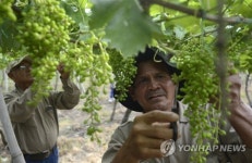 COLOMBIA PEACE REINTEGRATION