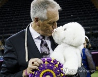 USA ANIMALS WESTMINSTER KENNEL CLUB DOG SHOW