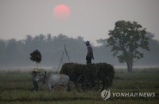 MYANMAR AGRICULTURE BEANS AND PULSES