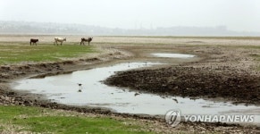 INDIA WORLD EARTH DAY