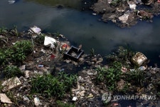 INDIA ENVIRONMENT POLLUTION