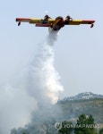 PORTUGAL WILDFIRES
