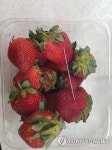 AUSTRALIA QUEENSLAND STRAWBERRY CONTAMINATION