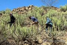 YEMEN CONFLICT