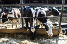 GERMANY PHOTO SET AGRICULTURE BIODYNAMIC FARMING