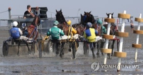 GERMANY EQUESTRIAN WADDEN SEA RACE