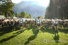 GERMANY AGRICULTURE TRADITION