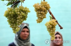 MIDEAST PHOTO SET PALESTINIANS HEBRON WINE