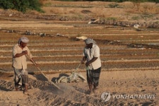 YEMEN PHOTO SET AGRICULTURE