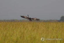 MYANMAR NATURE