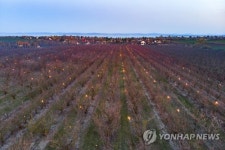 HUNGARY WEATHER