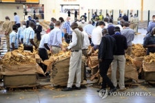 ZIMBABWE AGRICULTURE TOBACCO