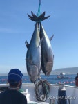 SPAIN TUNA FISHING