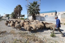 TUNISIA BELIEF ISLAM EID AL ADHA