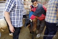 IRAN EID AL-ADHA ISLAM BELIEF