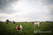 GERMANY ANIMAL RIGHTS