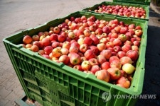 POLAND AGRICULTURE