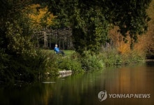 NETHERLANDS NATURE FALL FOLIAGE